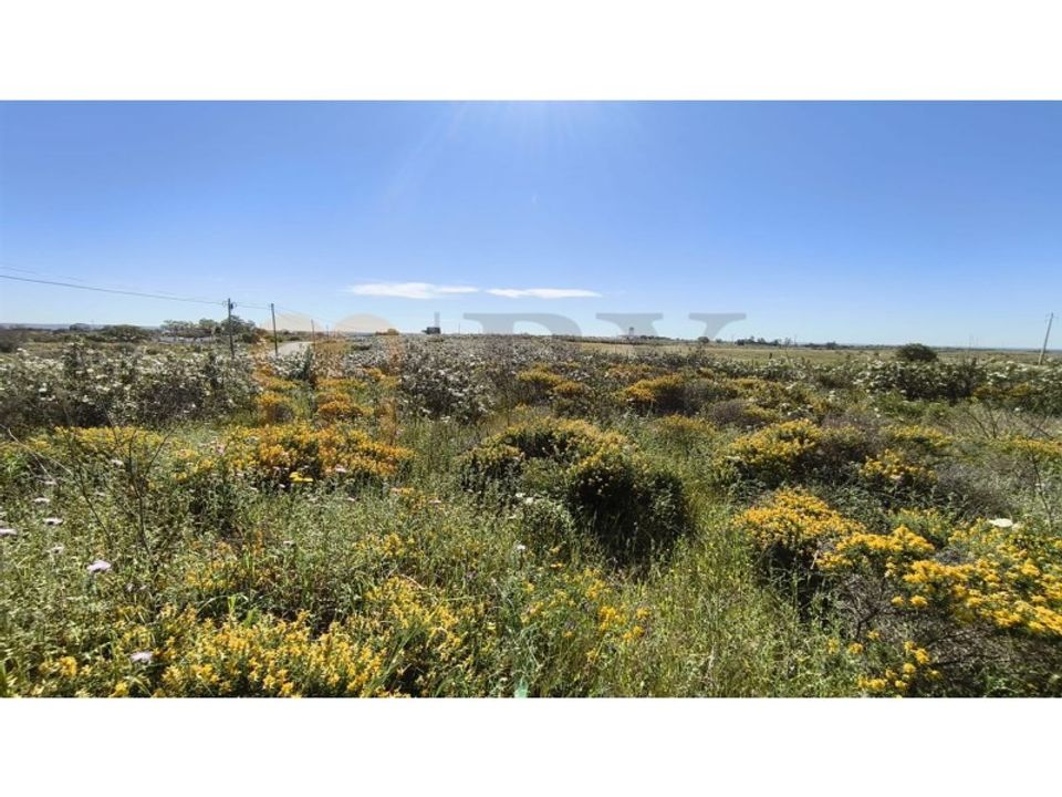 Helårsgrund i Castro Marim, Faro - foto 4