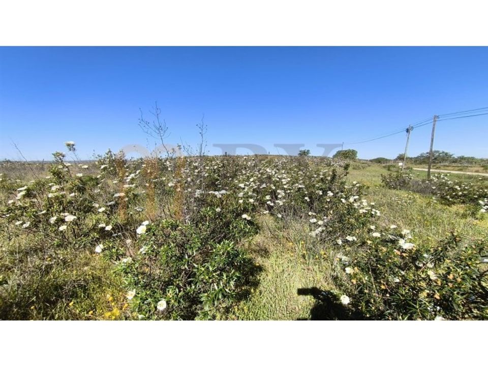 Helårsgrund i Castro Marim, Faro - foto 5