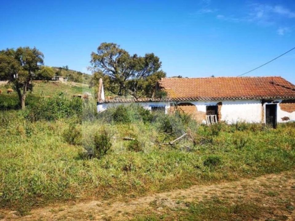 Gård i Sao Teotonio, Beja - bilde 5