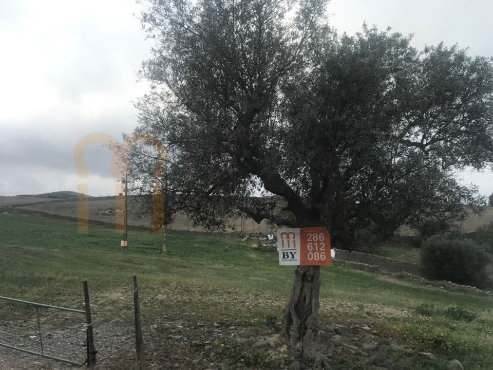 Helårsgrund i Mertola, Beja - foto 4