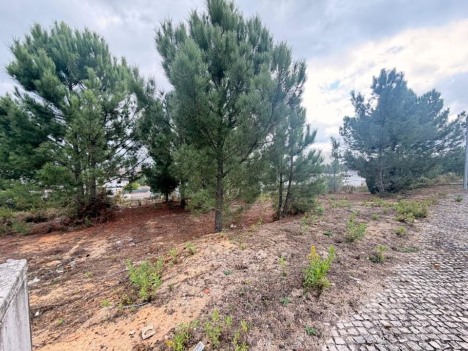 Helårsgrund i Rio Maior, Santarem - foto 1