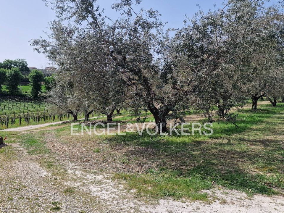 Gård i Rosciano, Pescara - bilde 3