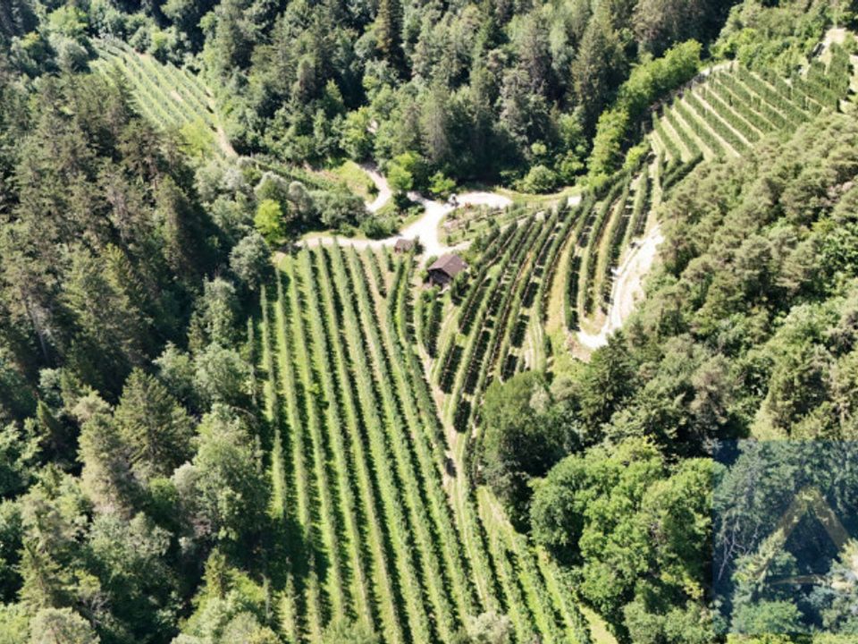 Terra a Conta, Trento - foto 1