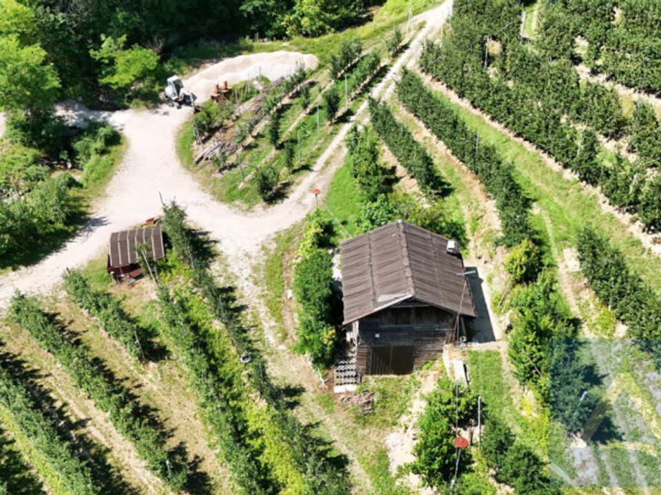 Terra a Conta, Trento - foto 4