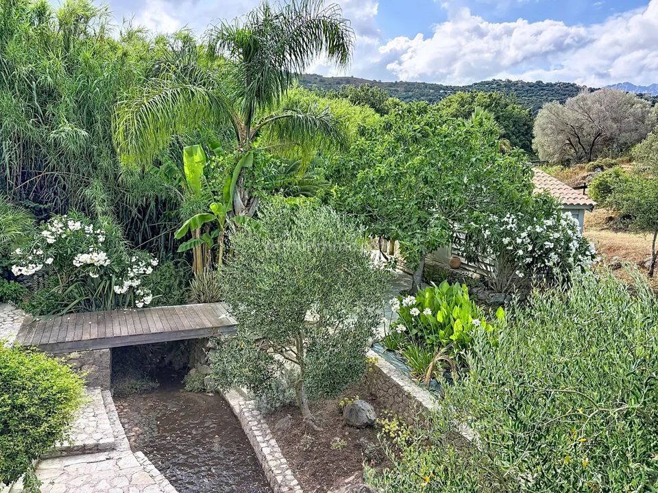 Villa i Aregno, Haute-Corse - bilde 4