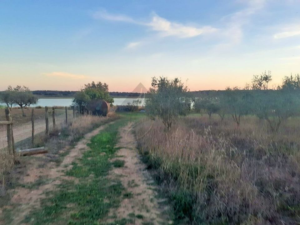 Terreno en Portel, Evora - foto 4
