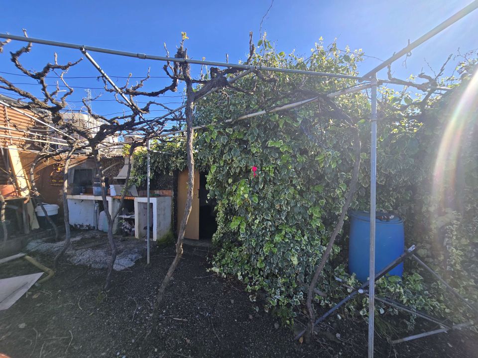 Finca i Vilaflor, Tenerife - foto 3