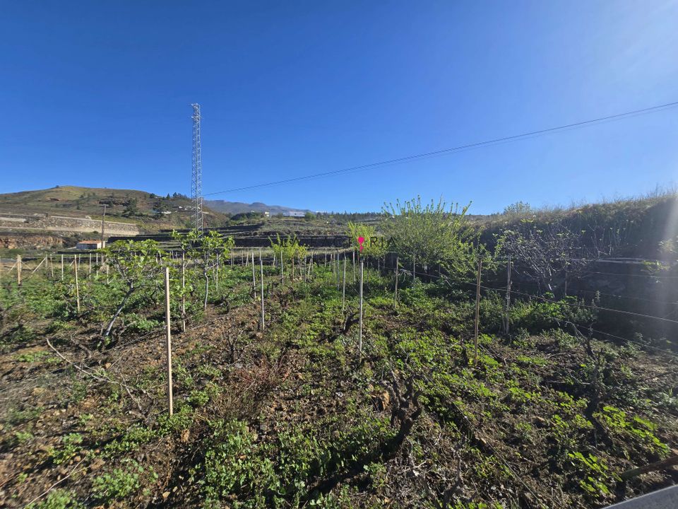 Finca i Vilaflor, Tenerife - foto 5