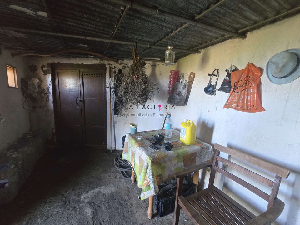 Finca i Vilaflor, Tenerife - foto 2
