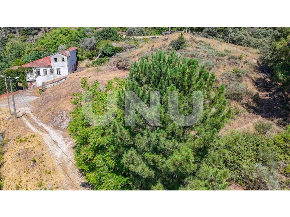Helårsgrund i Covilha, Castelo Branco - foto 2