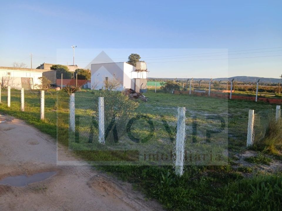 Helårsgrund i Quinta do Anjo, Setubal - foto 1