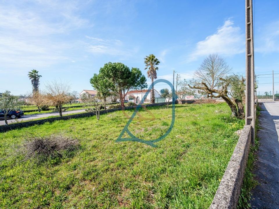 Terreno en Fatima, Santarem - foto 2