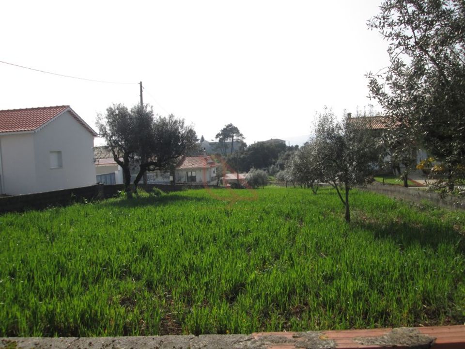 Terreno en Fatima, Santarem - foto 5