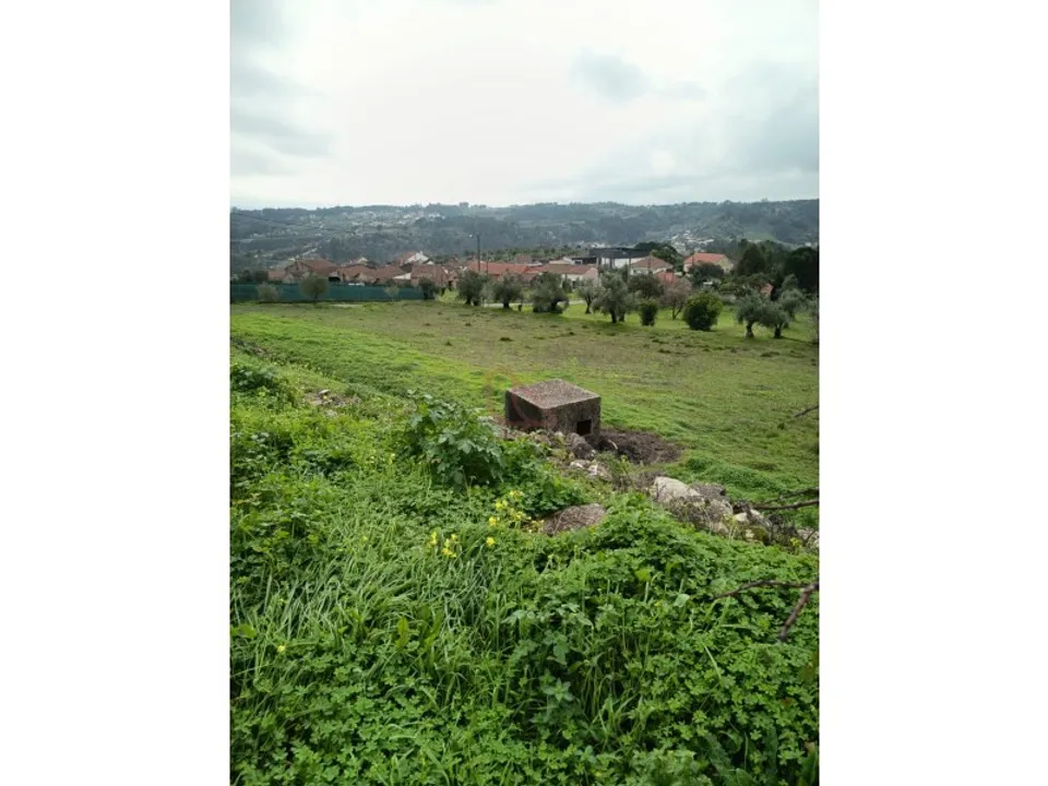 Terreno en Gondemaria e Olival, Santarem - foto 3