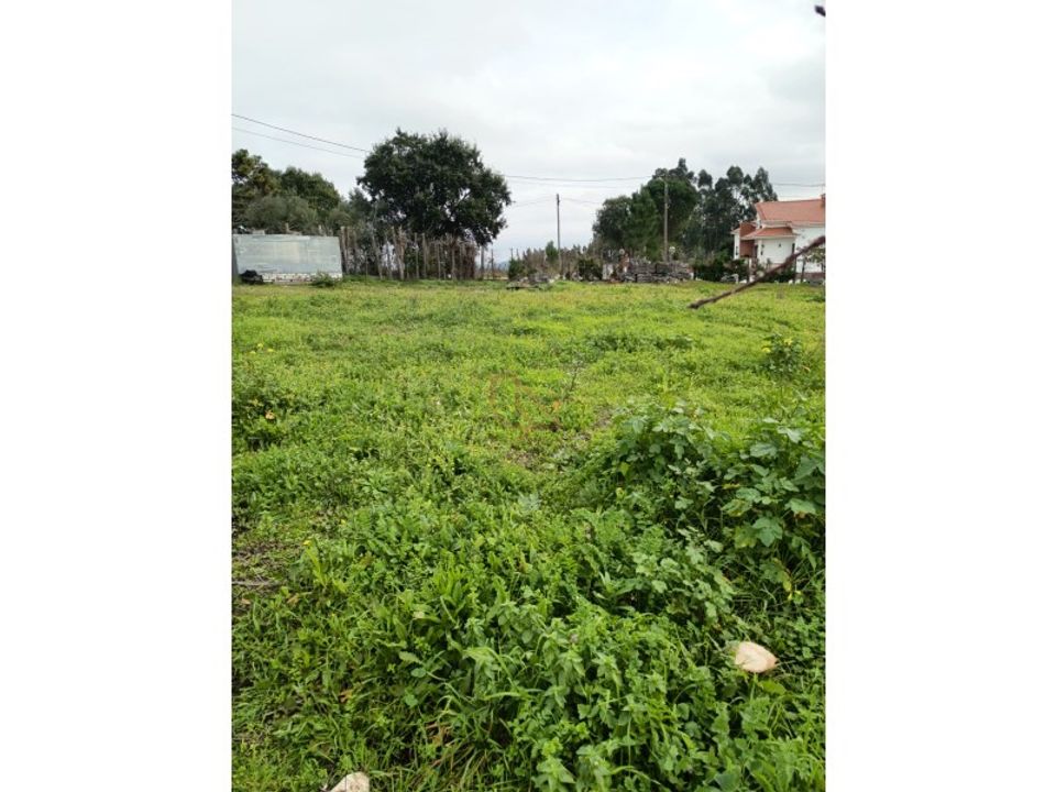 Terreno en Gondemaria e Olival, Santarem - foto 4