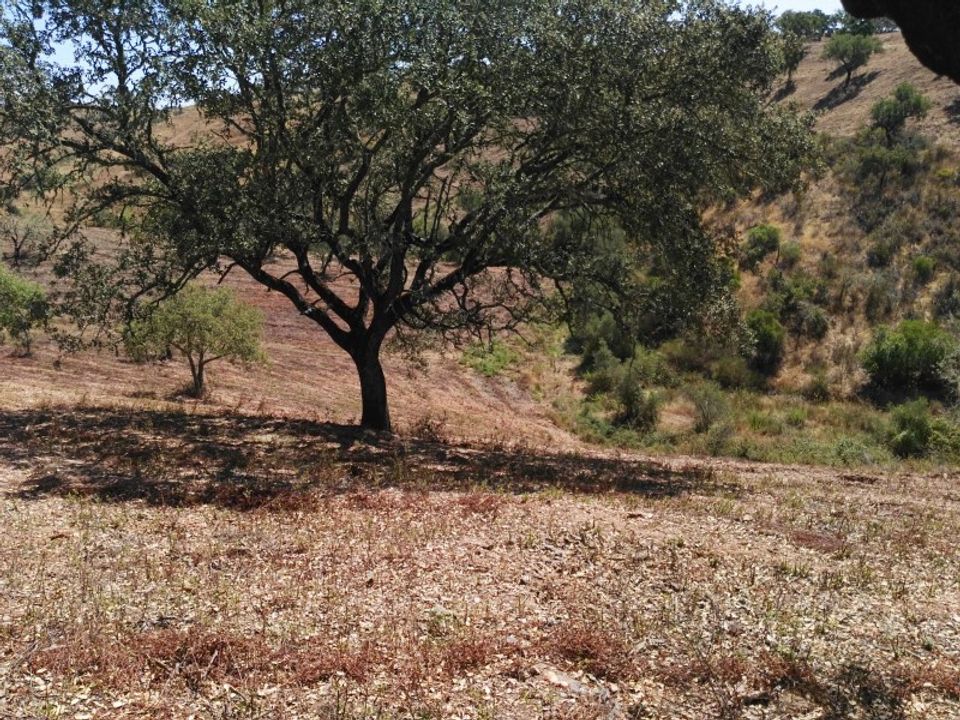 Landhaus in Beja, Beja - Foto 1
