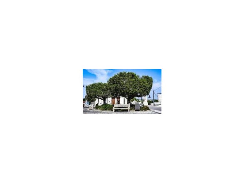 Appartement in Bidoeira de Cima, Leiria - foto 2