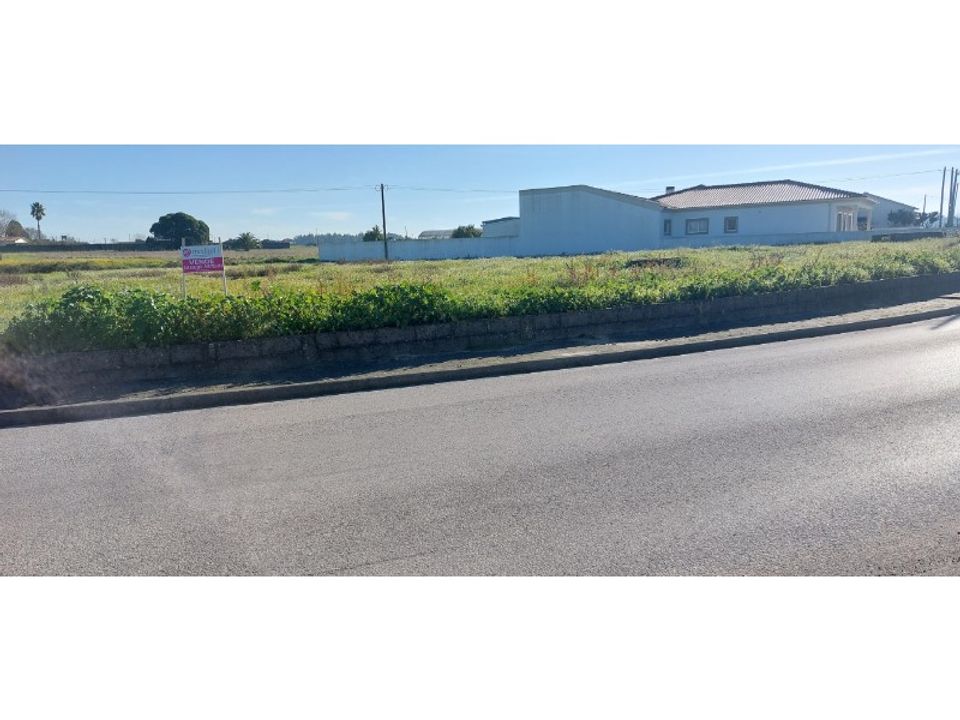 Helårsgrund i Monte Real, Leiria - foto 3