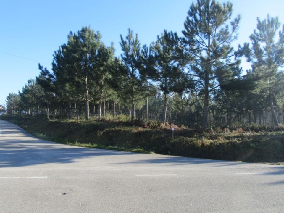 Helårsgrund i Monte Real, Leiria - foto 2