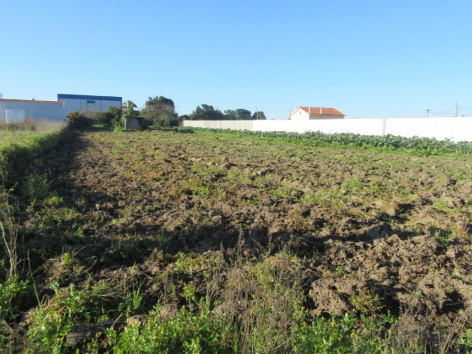 Helårsgrund i Monte Real, Leiria - foto 1