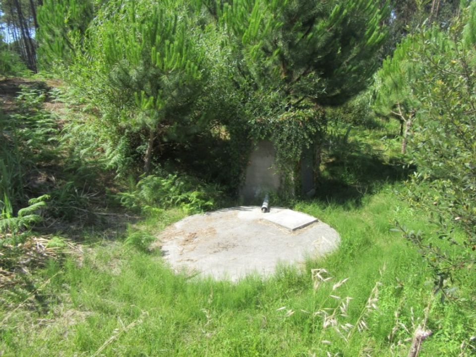 Helårsgrund i Monte Real, Leiria - foto 3