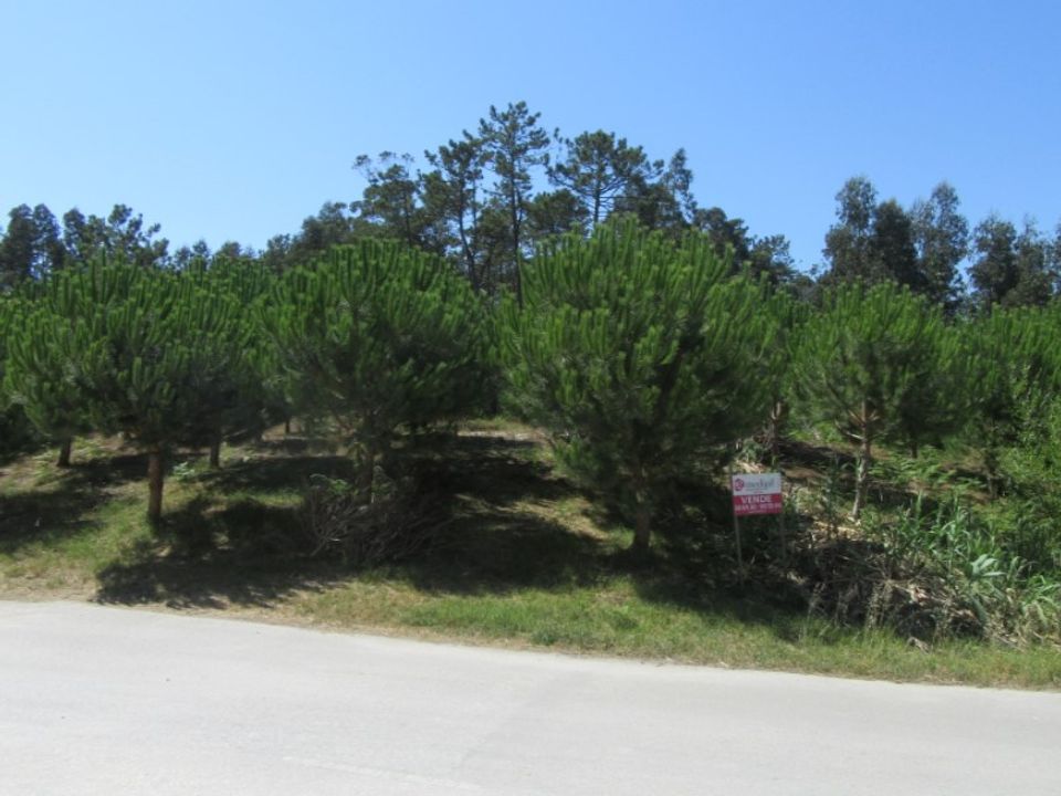 Helårsgrund i Monte Real, Leiria - foto 5