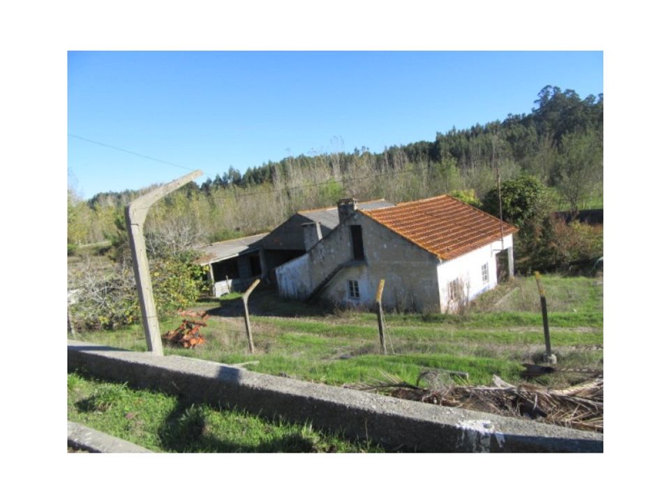 Farm i Monte Real, Leiria - foto 5