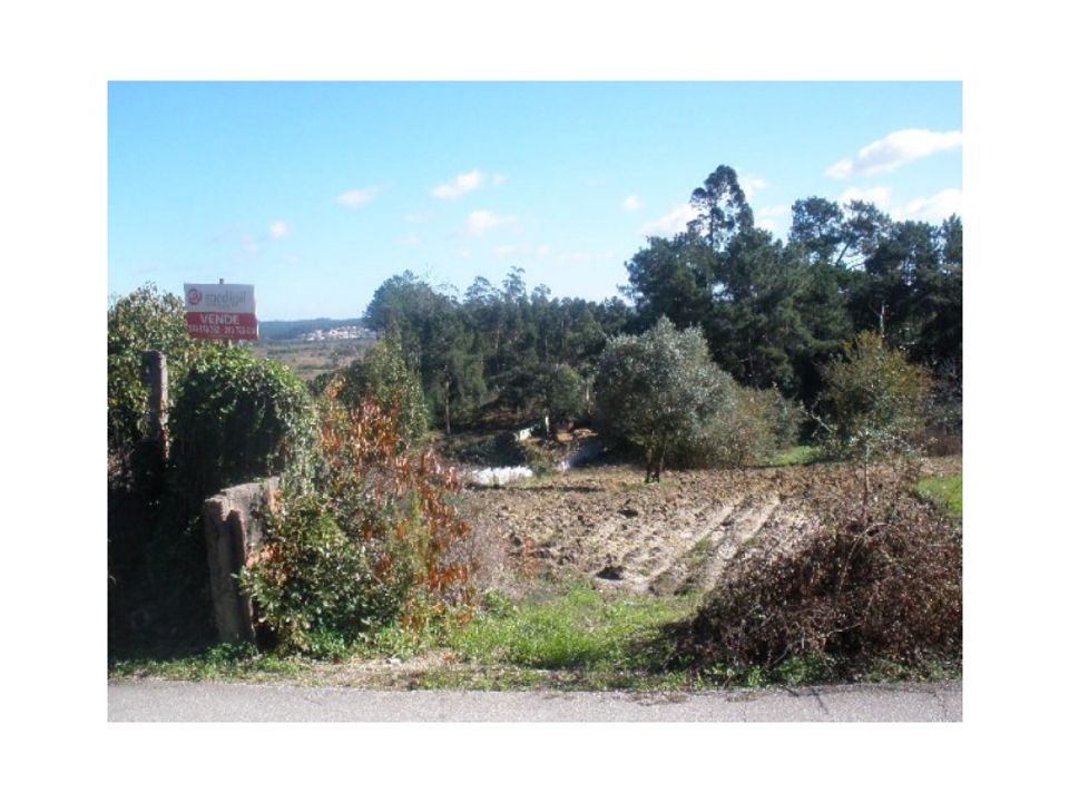 Helårsgrund i Monte Real, Leiria - foto 1