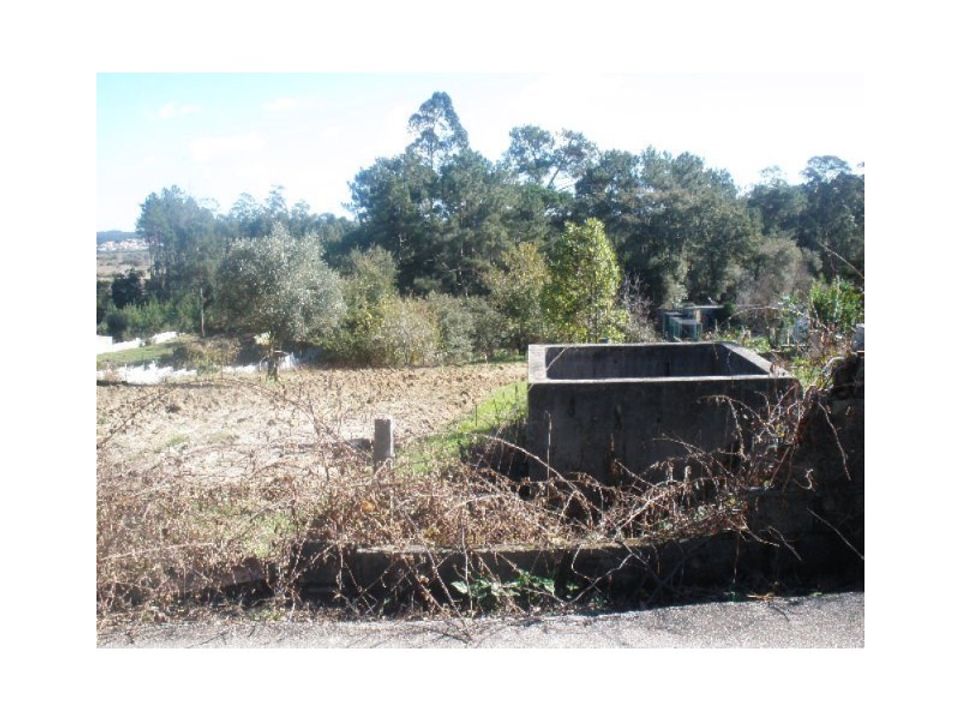 Helårsgrund i Monte Real, Leiria - foto 2