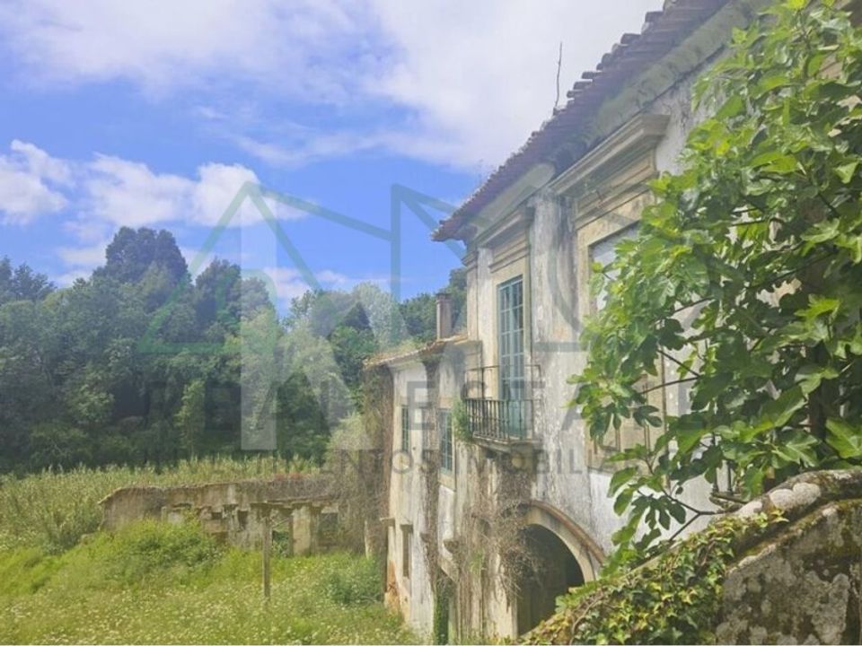 Farm i Oliveira de Azemeis, Aveiro - foto 1