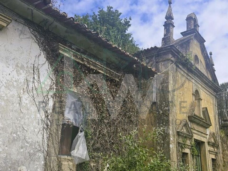 Farm i Oliveira de Azemeis, Aveiro - foto 3