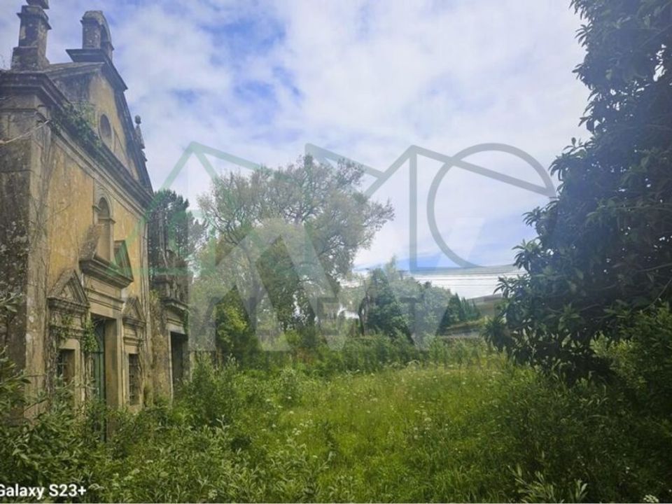 Farm i Oliveira de Azemeis, Aveiro - foto 4