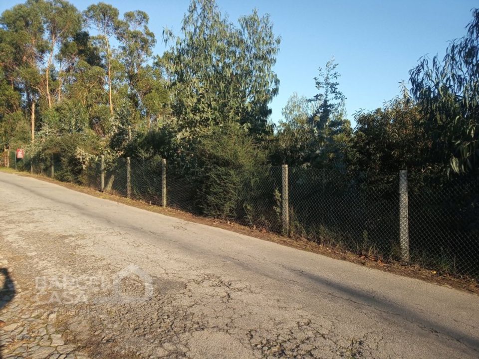 Terreno Sequeade e Bastuco, Braga - foto 1