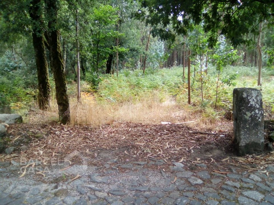 Tomt i Remelhe, Braga - bilde 1