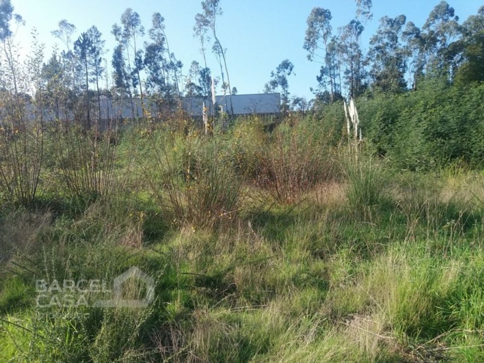 Kommersiell fastighet i Campo e Tamel, Braga - foto 3