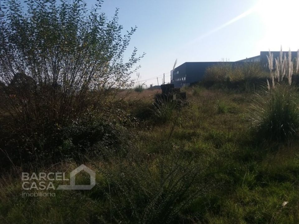 Kommersiell fastighet i Campo e Tamel, Braga - foto 4