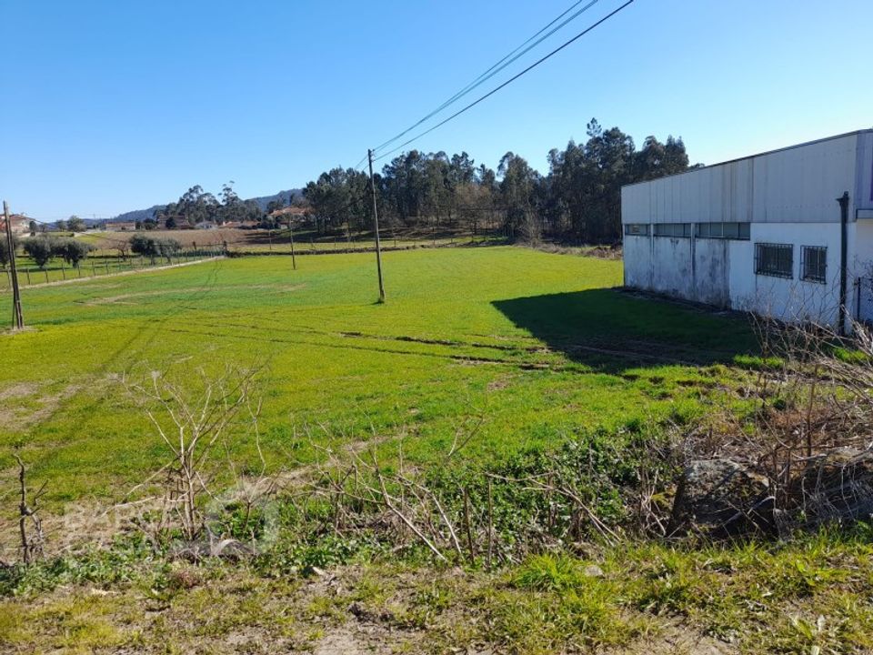 Terra a Alvito, Beja - foto 1