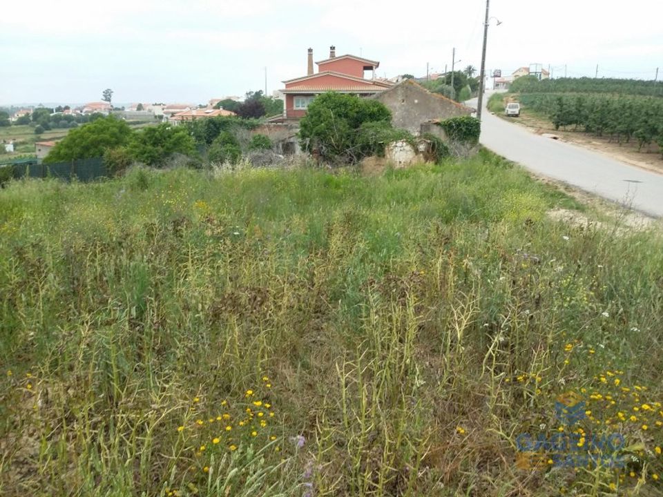 Tomt i A dos Francos, Leiria - bilde 1