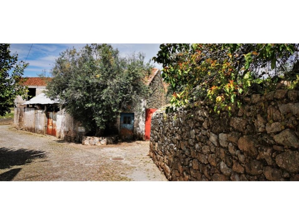 Farm i Escalos de Cima e Lousa, Castelo Branco - foto 2