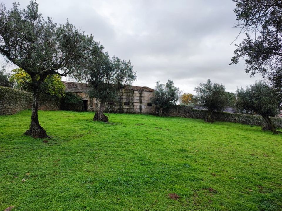 Farm i Escalos de Cima e Lousa, Castelo Branco - foto 4