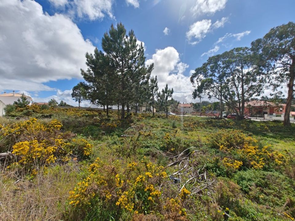 Terra a Foz do Arelho, Leiria - foto 2