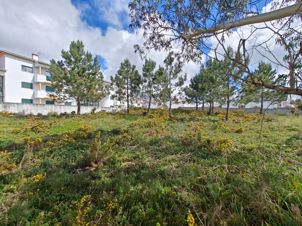 Terra a Foz do Arelho, Leiria - foto 4
