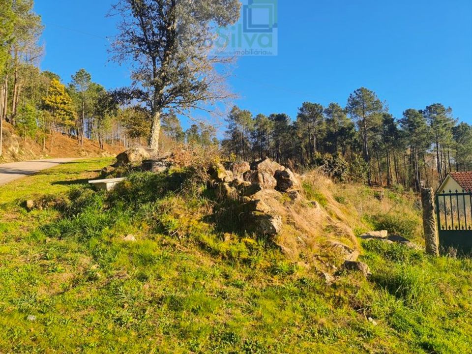 Quinta em Paredes de Coura, Viana do Castelo - foto 3
