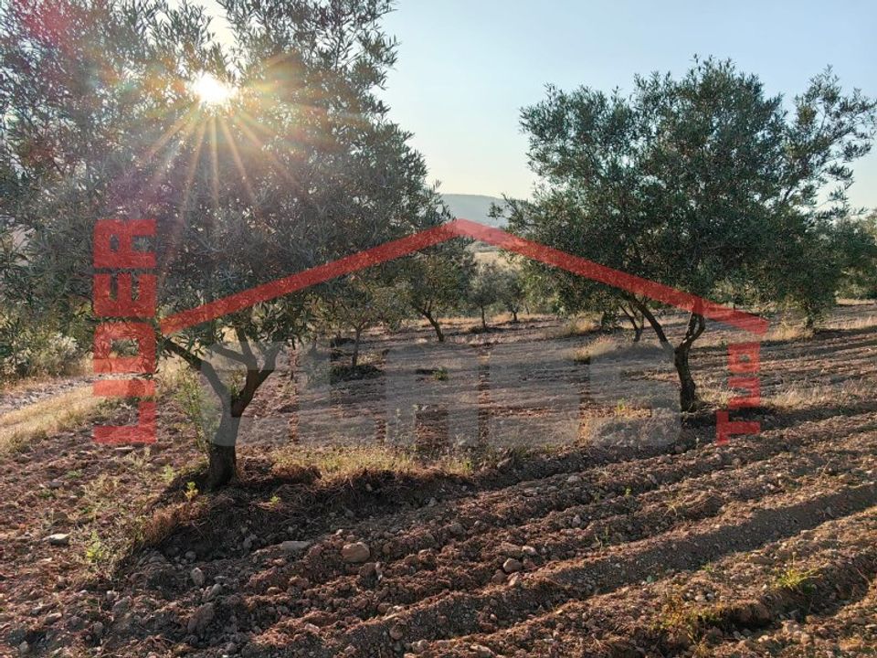 Terra em Alvite e Passos, Braga - foto 2