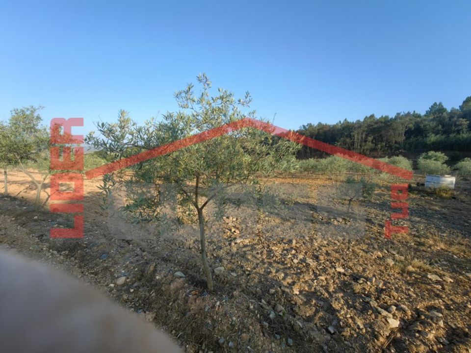 Terra em Alvite e Passos, Braga - foto 2