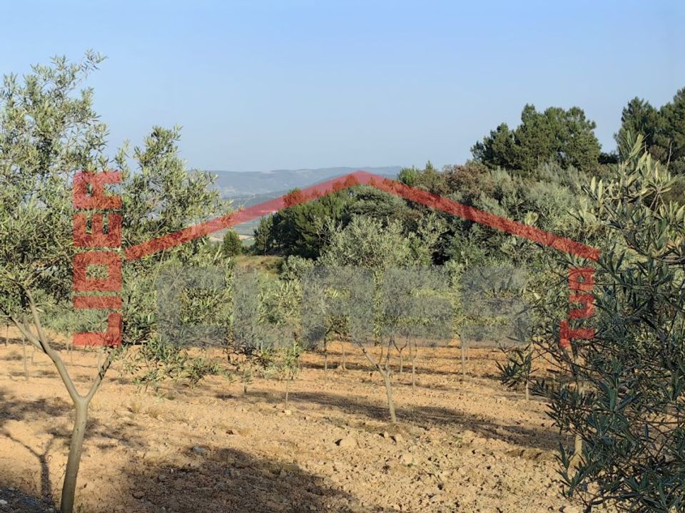Terra em Alvite e Passos, Braga - foto 3