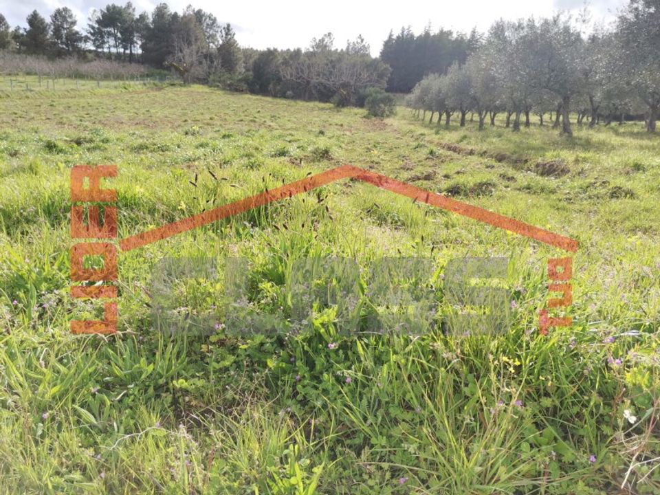 Terra em Vila Flor, Braganca - foto 1