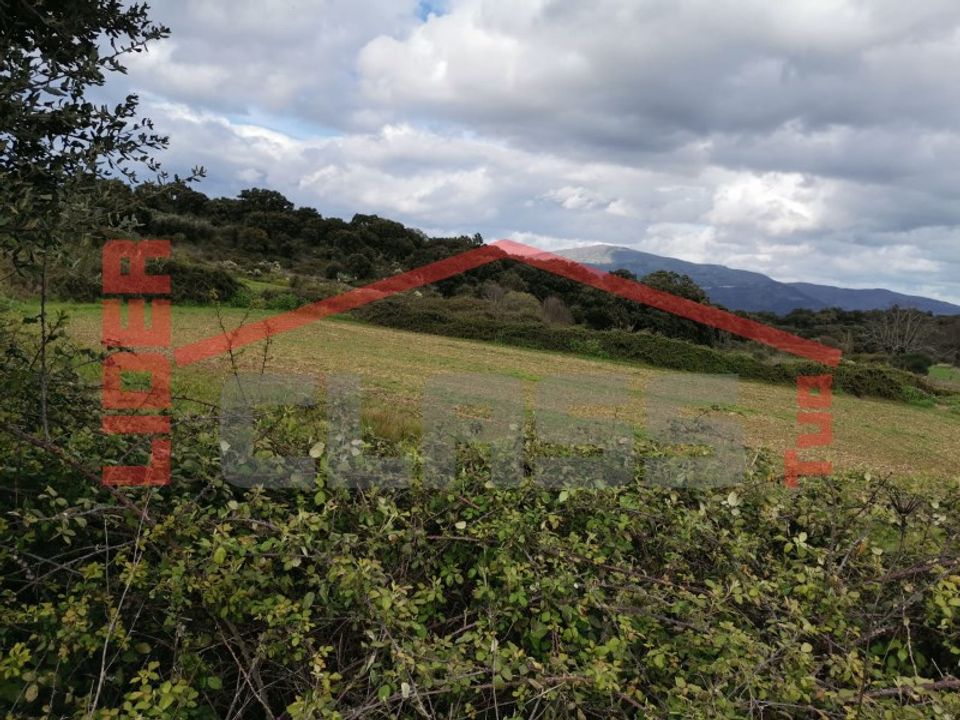 Terra em Vila Flor, Braganca - foto 4