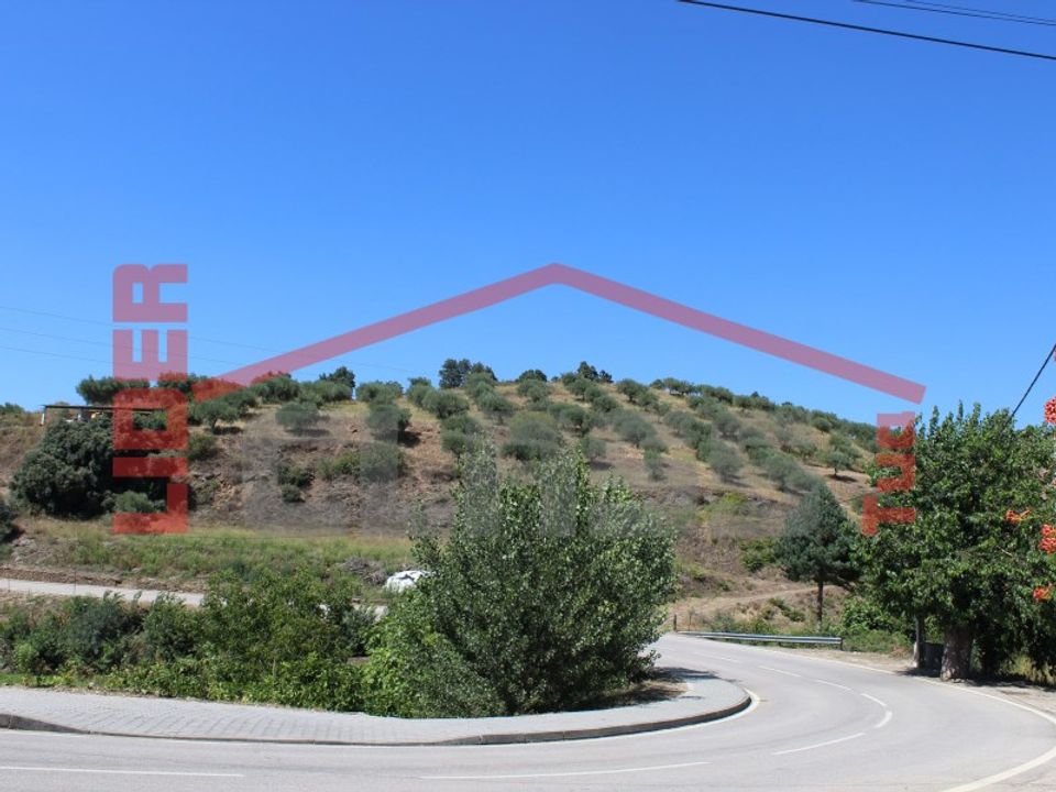 Helårsgrund i Mirandela, Braganca - foto 5