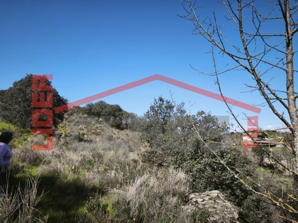Helårsgrund i Mirandela, Braganca - foto 2
